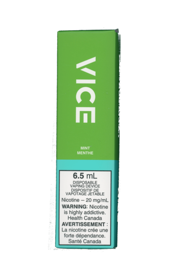 Vice 2500 Mint Disposable